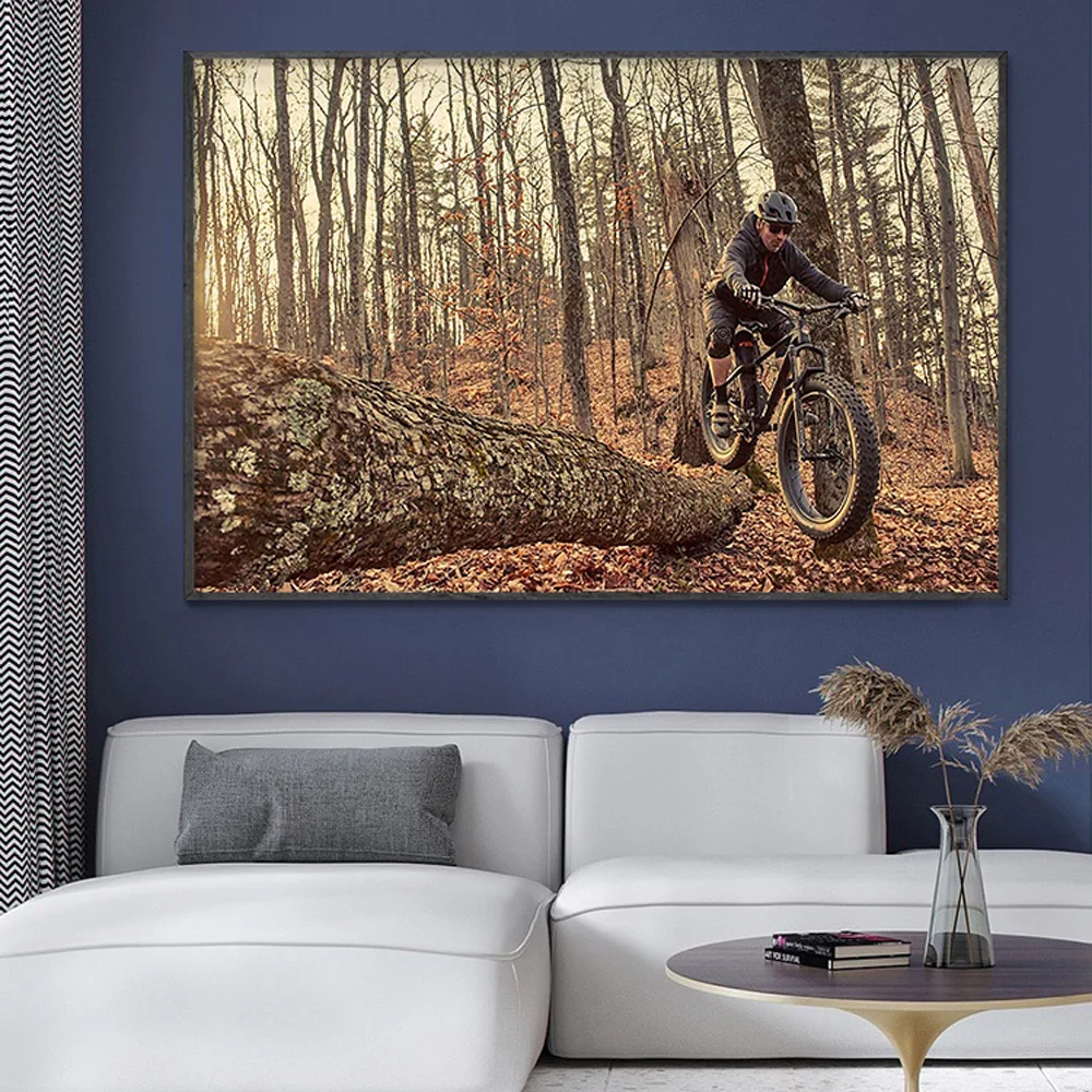 SP082 Wandposter aus Seidentuc – Mountain Biking Movies Bewertung und Preis