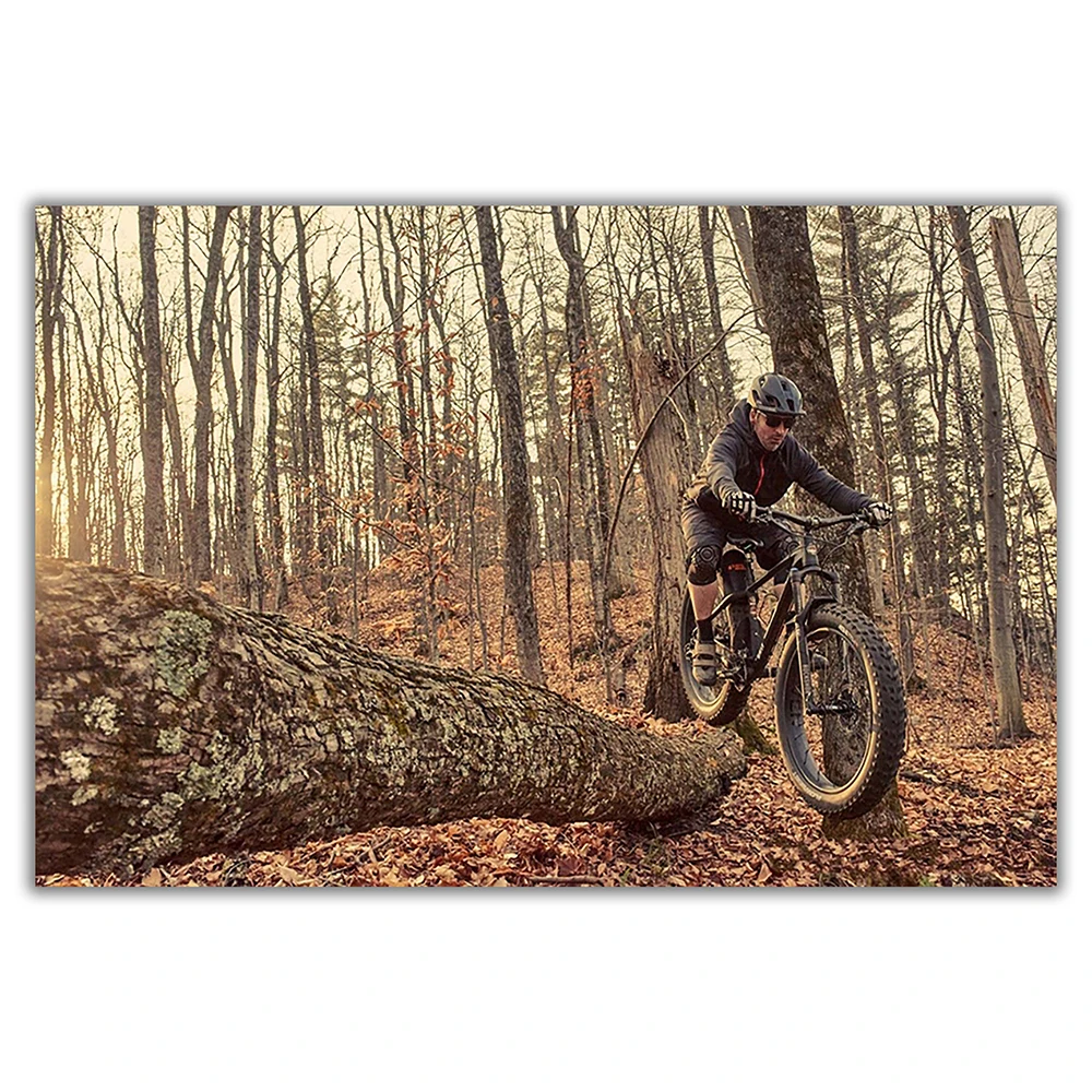 SP082 Wandposter aus Seidentuc – Mountain Biking Movies Bewertung und Preis