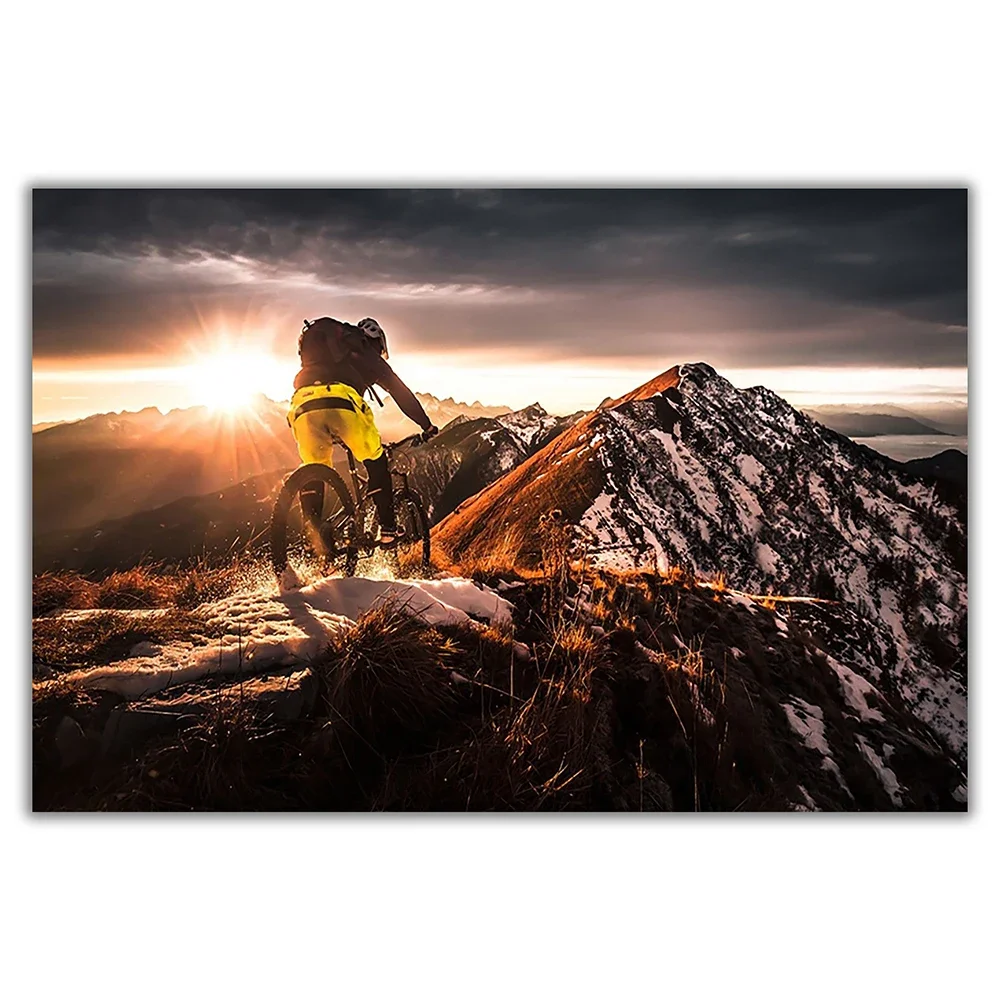 SP080 Wandposter aus Seidentuc – Mountain Biking Movies Bewertung und Preis
